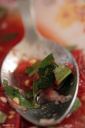 SauceTomate-3
