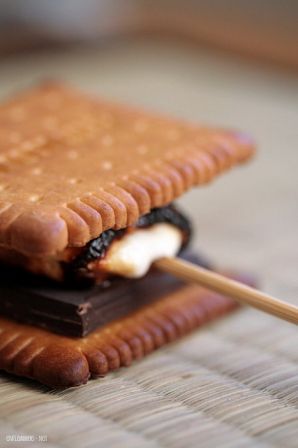 Smore2