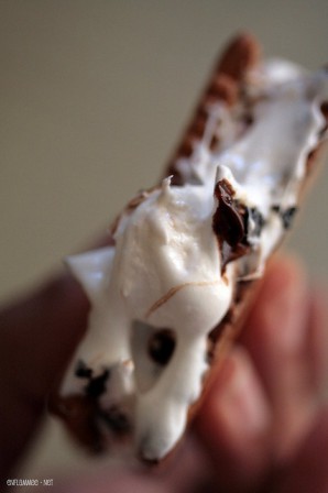 Smore3