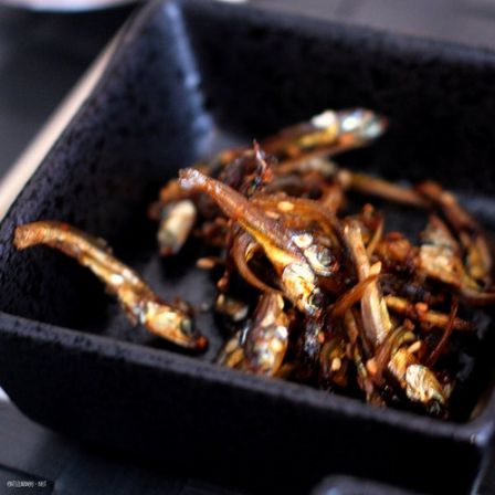 AnchoisCoréens
